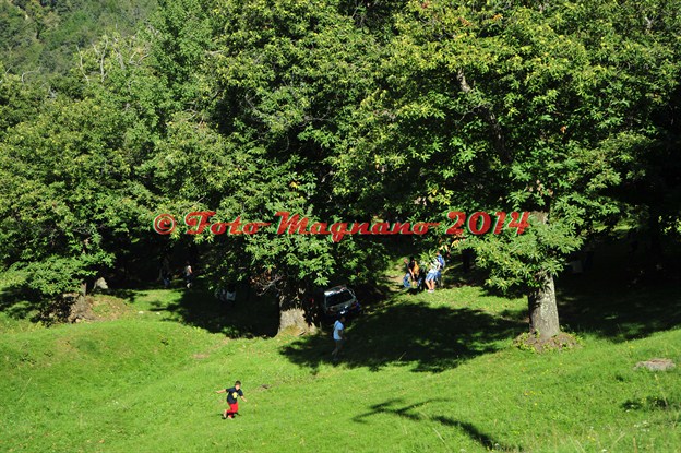 DSC_9836.JPG